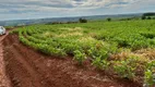 Foto 10 de Fazenda/Sítio com 2 Quartos à venda, 28m² em Área Rural de Cocalzinho Goiás, Cocalzinho de Goiás