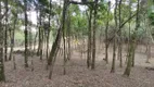 Foto 13 de Fazenda/Sítio com 1 Quarto à venda, 20000m² em São Luiz do Purunã, Balsa Nova