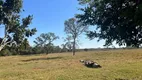 Foto 8 de Fazenda/Sítio à venda, 40000m² em Zona Rural, Dois Irmãos do Buriti