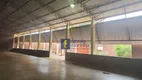 Foto 3 de Fazenda/Sítio com 3 Quartos para alugar, 800m² em Jardim das Palmeiras, Ribeirão Preto