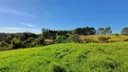 Foto 2 de Fazenda/Sítio à venda, 20000m² em Rio do Salto, Cascavel