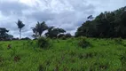 Foto 13 de Fazenda/Sítio com 3 Quartos à venda, 3100000m² em , Paraíso do Tocantins