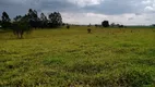 Foto 26 de Fazenda/Sítio com 3 Quartos à venda, 150m² em Area Rural de Itapetininga, Itapetininga