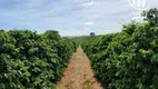 Foto 5 de Fazenda/Sítio à venda, 3000000m² em Centro, Divisa Nova