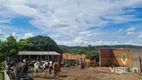 Foto 16 de Fazenda/Sítio com 8 Quartos à venda, 5000m² em Zona Rural, Cocalzinho de Goiás