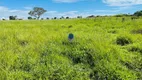 Foto 36 de Fazenda/Sítio com 3 Quartos à venda, 10000m² em Centro, Aragoiânia