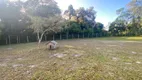 Foto 10 de Fazenda/Sítio com 4 Quartos à venda, 300m² em Jardim Coronel, Itanhaém