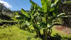 Foto 10 de Fazenda/Sítio à venda, 10000m² em Zona Rural, Marmelópolis