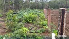 Foto 2 de Fazenda/Sítio à venda, 445m² em Zona Rural, Aparecida do Rio Negro