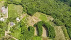 Foto 5 de Fazenda/Sítio à venda, 196800m² em Linha 28, Gramado