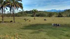 Foto 10 de Fazenda/Sítio com 2 Quartos à venda, 242000m² em Centro, Cachoeiras de Macacu