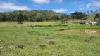 Foto 17 de Fazenda/Sítio à venda, 440000m² em Centro, Piracaia