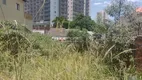 Foto 2 de Lote/Terreno à venda, 300m² em Vila Dom Pedro I, São Paulo