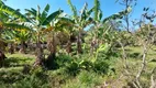 Foto 60 de Fazenda/Sítio com 6 Quartos à venda, 4900m² em Chacara Fernao Dias, Bragança Paulista