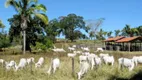 Foto 6 de Fazenda/Sítio com 2 Quartos à venda, 158m² em Zona Rural, Colinas do Sul