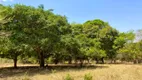 Foto 4 de Fazenda/Sítio à venda, 54400m² em Distrito de Roselandia, Bela Vista de Goiás