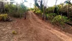 Foto 19 de Chácara com 1 Quarto à venda, 10m² em Zona Rural, Colinas do Sul