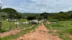 Foto 32 de Fazenda/Sítio com 2 Quartos à venda, 271000m² em Zona Rural, Santa Cruz de Goiás