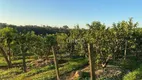 Foto 2 de Fazenda/Sítio com 4 Quartos à venda, 500m² em Reforma Agraria, Valinhos