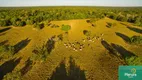 Foto 7 de Fazenda/Sítio com 3 Quartos à venda, 10m² em Zona Rural, Cocalinho