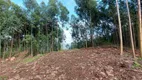 Foto 6 de Lote/Terreno à venda, 15000m² em Vila Germania, Nova Petrópolis