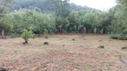 Foto 10 de Lote/Terreno à venda, 4449m² em Armação do Pântano do Sul, Florianópolis