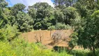 Foto 21 de Fazenda/Sítio com 2 Quartos à venda, 450000m² em Centro, Rio Rufino