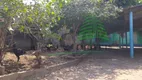 Foto 3 de Lote/Terreno à venda, 378m² em Jardim São Pedro, Limeira