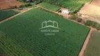 Foto 17 de Fazenda/Sítio com 1 Quarto à venda, 100000m² em Area Rural de Janauba, Janaúba