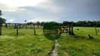 Foto 25 de Fazenda/Sítio à venda, 4065600m² em Zona Rural, Faina