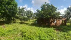 Foto 7 de Lote/Terreno à venda, 8000m² em Zona Rural, Paço do Lumiar