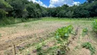 Foto 11 de Fazenda/Sítio com 1 Quarto à venda, 40000m² em Bateias de Baixo, Campo Alegre