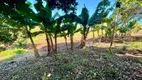 Foto 4 de Fazenda/Sítio com 3 Quartos à venda, 20700m² em , Itapuí