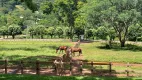 Foto 21 de Lote/Terreno à venda, 3988m² em Residencial Aldeia do Vale, Goiânia