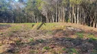 Foto 2 de Fazenda/Sítio à venda, 20000m² em Centro, Campo Largo