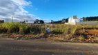 Foto 2 de Lote/Terreno à venda, 360m² em Mina do Mato, Criciúma