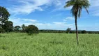 Foto 14 de Fazenda/Sítio à venda, 484000m² em Zona Rural, Itapirapuã