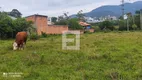 Foto 9 de Lote/Terreno à venda, 4270m² em Pedra Branca, Palhoça