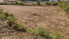 Foto 9 de Lote/Terreno à venda em Forqueta, Caxias do Sul