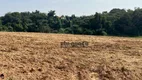 Foto 19 de Fazenda/Sítio à venda, 20000m² em Bom Retiro, Porto Feliz