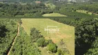 Foto 15 de Lote/Terreno à venda, 83000m² em Centro, Lindolfo Collor