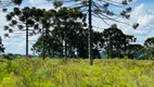 Foto 21 de Fazenda/Sítio à venda, 440000m² em Santa Izabel, São Joaquim