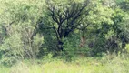 Foto 5 de Fazenda/Sítio com 2 Quartos à venda, 70m² em Aparecidinha, Aracoiaba da Serra