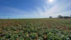 Foto 7 de Fazenda/Sítio com 3 Quartos à venda, 600000m² em Centro, Manga