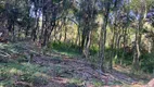 Foto 29 de Lote/Terreno à venda, 72600m² em , Santa Tereza