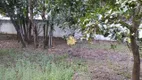 Foto 85 de Fazenda/Sítio com 3 Quartos à venda, 3028m² em Cidade Jardim, Esmeraldas