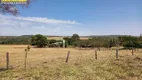 Foto 13 de Fazenda/Sítio com 4 Quartos à venda, 1137400m² em Centro, Mairipotaba