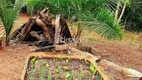 Foto 5 de Fazenda/Sítio com 3 Quartos à venda, 10m² em Centro, Corguinho