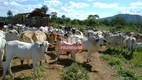 Foto 5 de Fazenda/Sítio à venda, 249m² em Zona Rural, Buritis