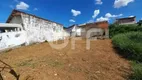 Foto 4 de Lote/Terreno para alugar, 300m² em Taquaral, Campinas